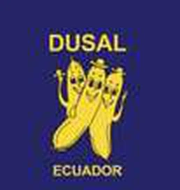 Dusal